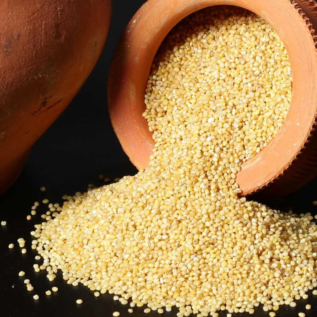 Foxtail Millet (Navane) - Premium organic Millets from Swastik Organics