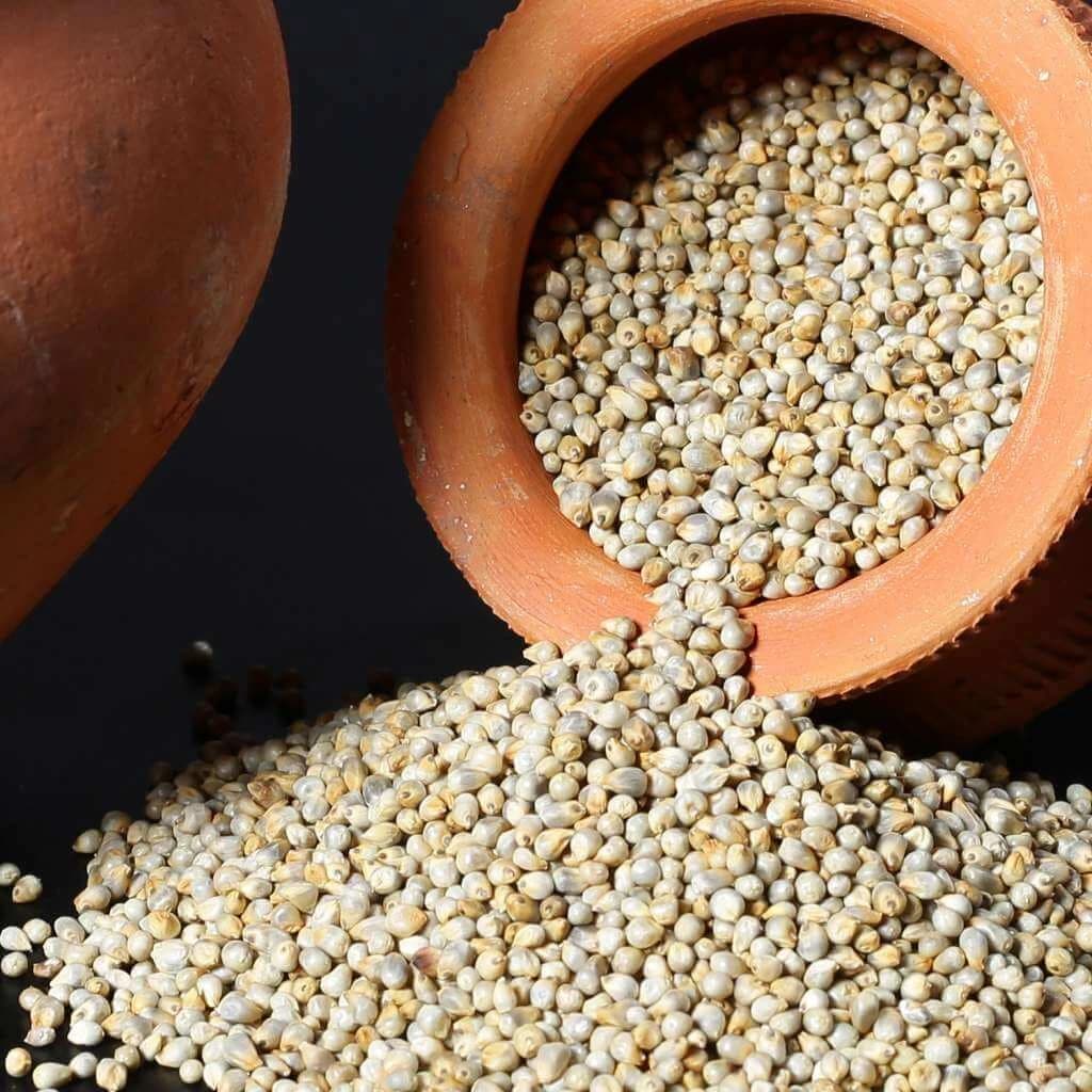 Pearl Millet (Sajje) - Premium organic Millets from Swastik Organics