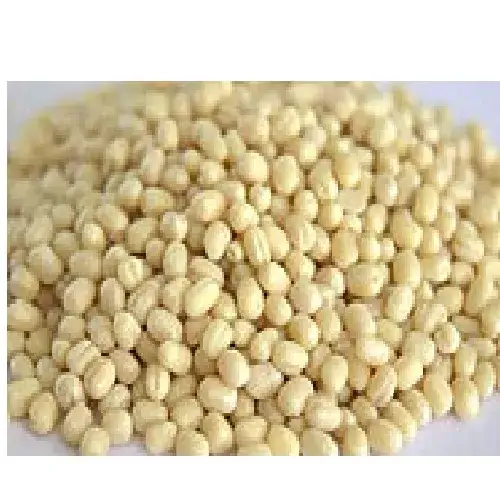 Urad Whole White (gola) - Premium organic Pulses from Swastik Organics