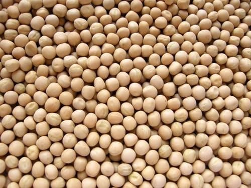 Green Peas Dry White - Premium organic Pulses from Swastik Organics