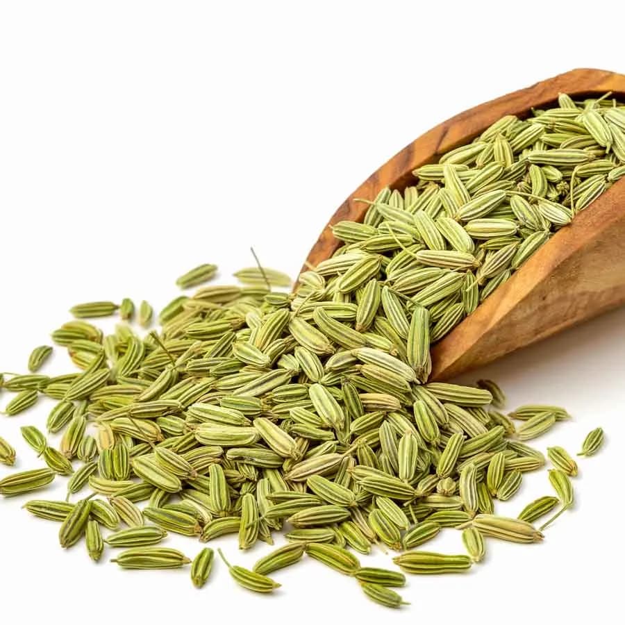 Fennel Seeds - Premium organic Spices from Swastik Organics