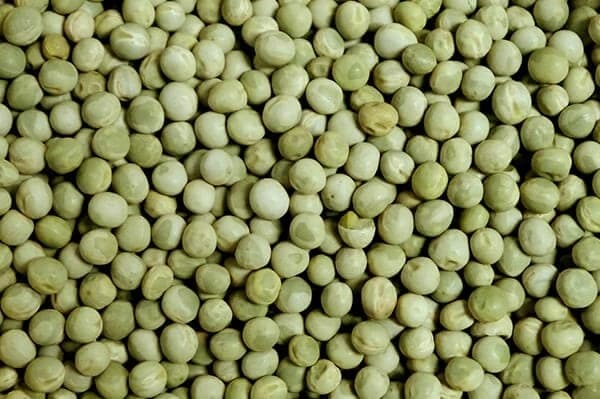 Green Peas Dry Green - Premium organic Pulses from Swastik Organics